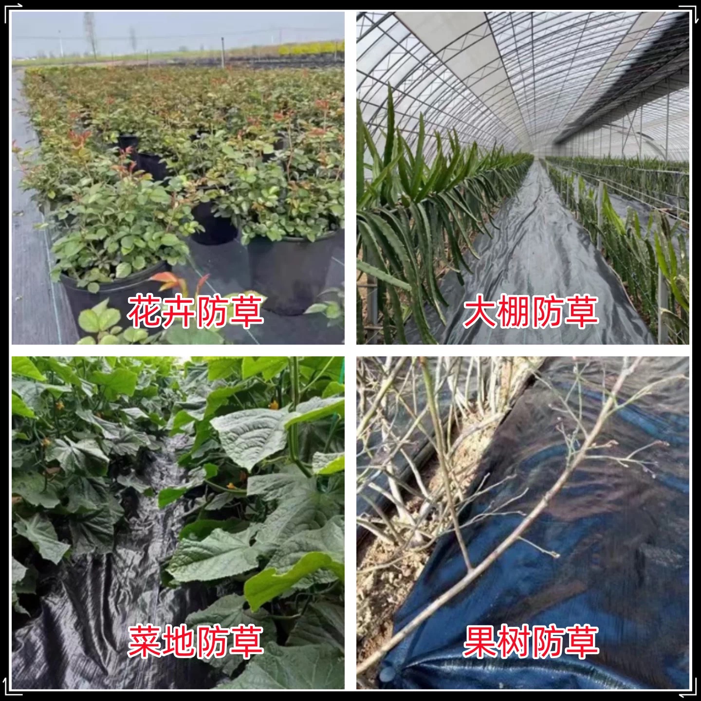 昆明市果树反光膜防草布 - 推荐