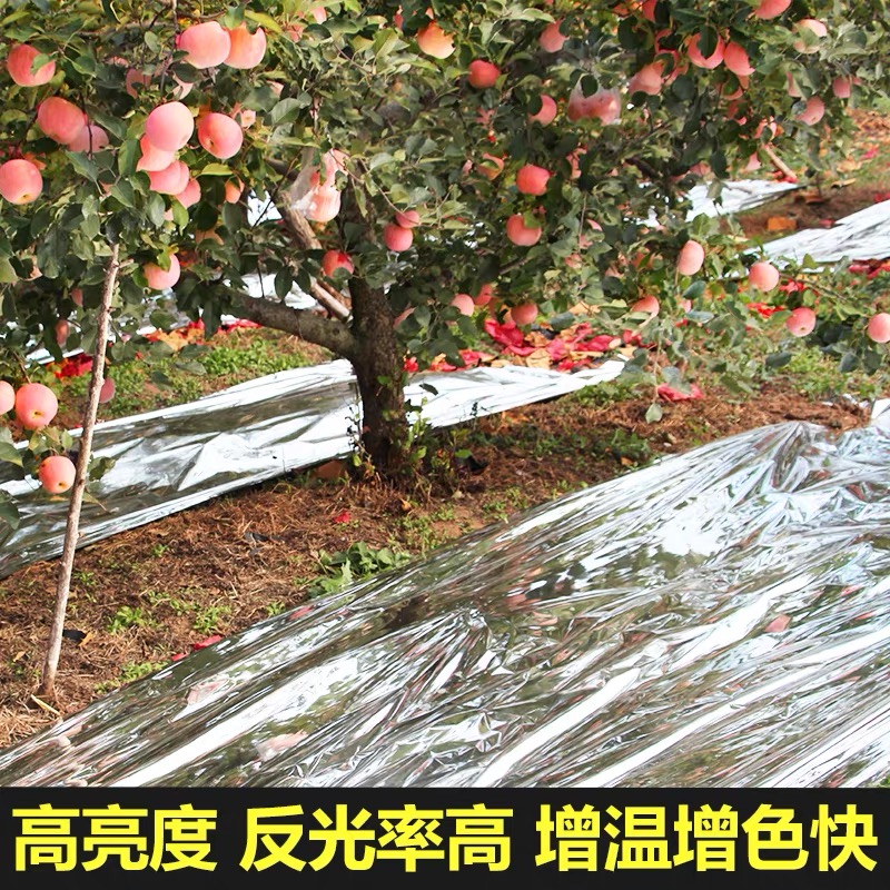 昆明市po膜果树反光膜 - 厂家